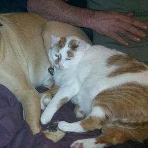 Meet your Posher, Diane